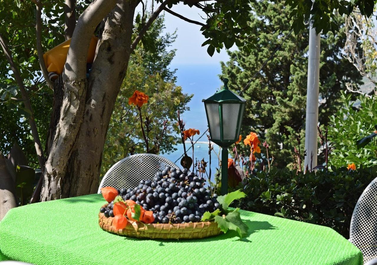 Apartment Ivana Borak Omiš Exteriér fotografie